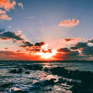 Meet your Posher, Erika